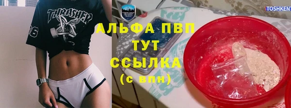прущие грибы Пролетарск