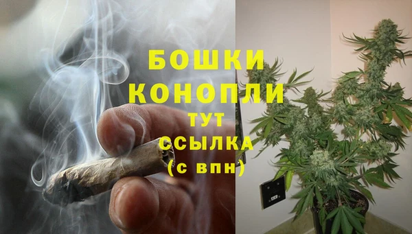 дживик Протвино