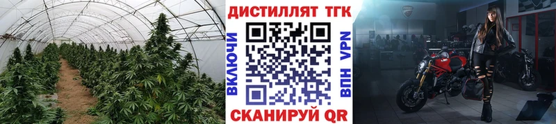 магазин    Ардон  мега ссылка  Дистиллят ТГК гашишное масло 